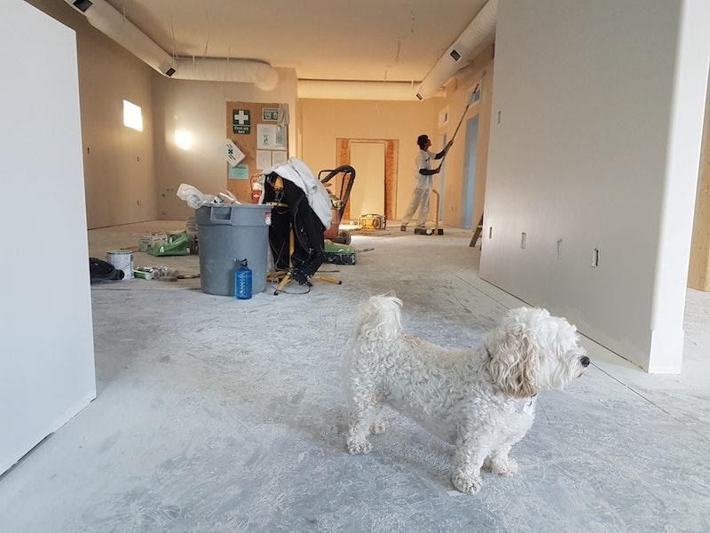 How To Clean Up After A Home Renovation?